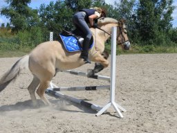 img_3562_web